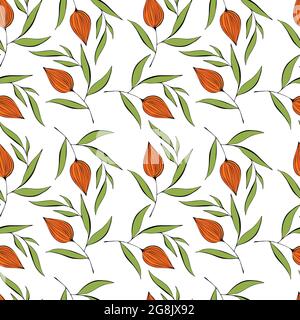 Physalis doodling pattern on a white background. Vector illustration Stock Vector