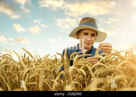 female farmer agronomist check the quality of wheat crop in cereal field. copy space Stock Photo