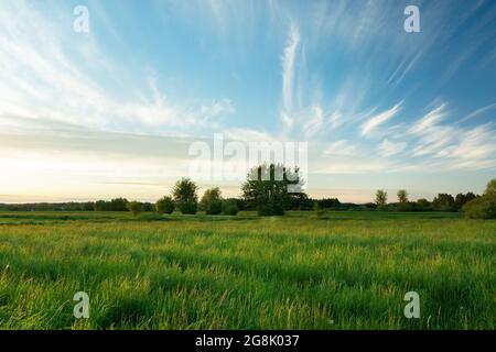 Fantastic clouds over the green wild meadow, Nowiny, Poland Stock Photo