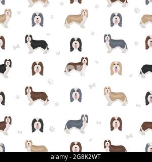 Bearded collie seamless pattern. Different coat colors and poses set.  Vector illustration Stock Vector