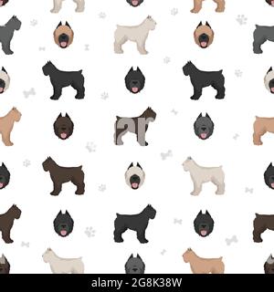 Bouvier des Flandres seamless pattern. Different coat colors and poses set.  Vector illustration Stock Vector