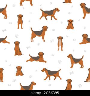 Border terrier seamless pattern. Different coat colors and poses set.  Vector illustration Stock Vector