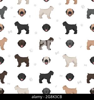 Bouvier des Flandres seamless pattern. Different coat colors and poses set.  Vector illustration Stock Vector
