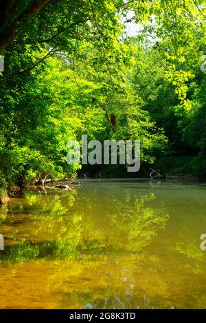 Blue River, Harrison-Crawford State Forest, Indiana Stock Photo - Alamy