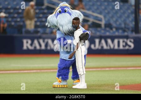 One of the Tampa Bay Rays mascot DJ Kitty poses on the field