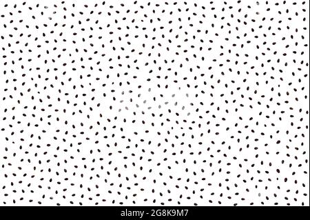 Texture of watermelon seeds against white background Stock Photo