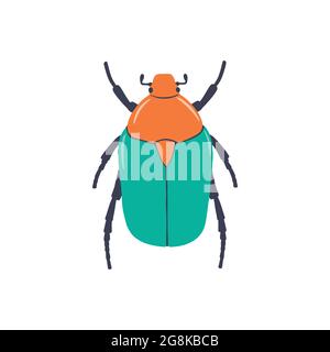 Vector color picture of bronzed beetle with bright green coloring on white background. Insects. Stock Vector