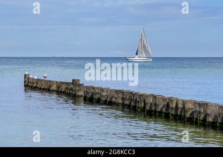 Coast protection at the baltic sea (Kuehlungsborn, Germany): groynes, in the distance a sailboat. In the ocean, groynes create beaches or prevent them Stock Photo