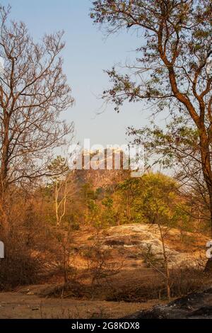 View of Buddhist Monastery on summit of Mount Popa through the trees in the distance, Mount Popa, Myanmar Stock Photo