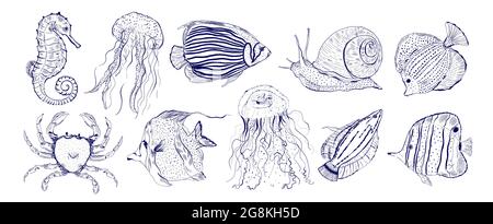 Collection marine animal fish.Sketch outline hand drawn.Crab,snail,seahorse,jellyfish and other. Stock Vector