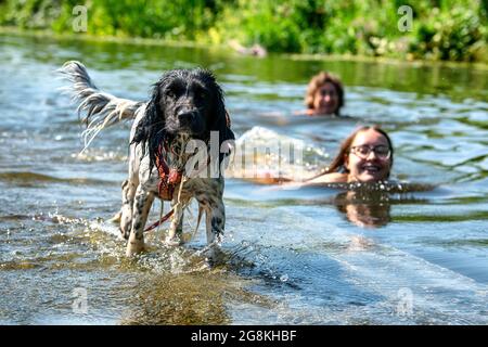 People enjoy the water at Warleigh Weir on the River Avon near Bath in Somerset as temperatures soar across the United Kingdom. Stock Photo