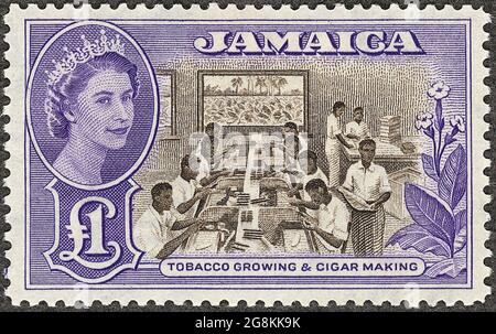 Jamaican postage stamp that was printed, but unissued for Jamaica in 1956 depicting tobacco growing and cigar making. 1 pound blue with portrait of Queen Elizabeth Stock Photo