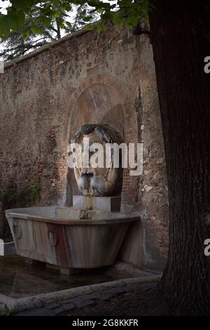 Rome, Italien. 21st July, 2021. Rome Colle Aventino, Fountain of the Mascherone of Santa Sabina The fountain of the Mascherone di Santa Sabina is located in Piazza Pietro d'Illiria, in the part of the Rione Ripa that rises on the Aventine hill.21, July 2021 Credit: dpa/Alamy Live News Stock Photo