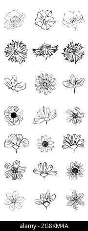 Flowers Icon set. line art. On white background. Isolated Stock Vector