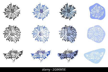 Cornflower. Icon set. Flowers on abstract shape on white background. Isolated Stock Vector