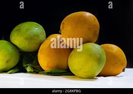 Mangoes, juicy stone fruits, from numerous species of tropical trees belonging to the flowering plant genus Mangifera, cultivated mostly for their edi Stock Photo