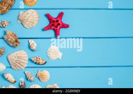 Sea star and shells on wooden blue background.Different marine items on blue painted wooden background. Sea objects on wooden planks. Selective focus. Stock Photo
