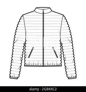 Blank Template Grey Down Jacket Zipped Stock Photo 1248276181