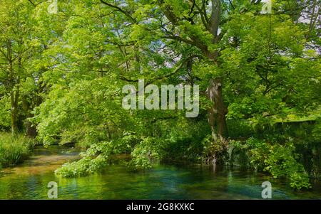 View along beck, canal, flanked by trees and spring foliage with reflections water on a bright, peaceful morning in North Cave village, Yorkshire, UK. Stock Photo