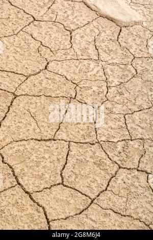 Close shot cracked dry earth. For climate crisis, drought in UK, parched earth, crop loss, European or US heatwave, hot summer season, aridification. Stock Photo