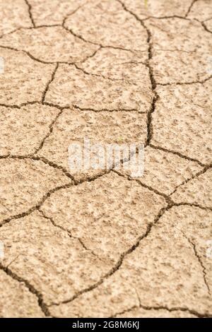 Close shot cracked dry earth. For climate crisis, drought in UK, parched earth, crop loss, European or US heatwave, hot summer season, aridification. Stock Photo