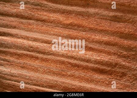 Closeup of red sandstone wall. Stock Photo