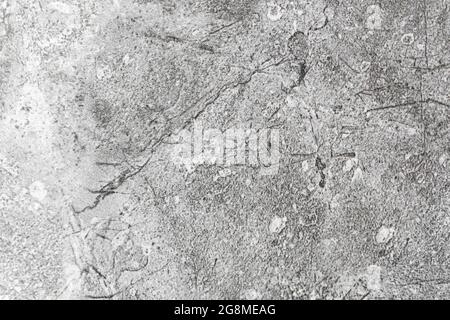 Marble texture background. High detailed surface closeup Stock Photo