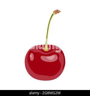 Red delicious ripe cherry with a host isolated on a white background. Vector cherry illustration. Cartoon style icon. Stock Vector
