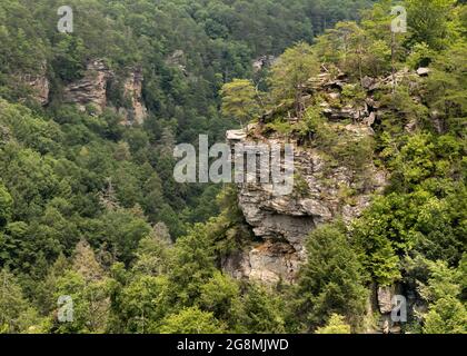 'Close to the Edge', on the Scenic Loop, in Fall Creek Falls State Park, near Spencer, Tennessee. Stock Photo