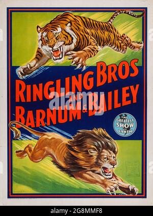 Ringling Bros and Barnum & Bailey Circus (1945). Vintage circus poster feat. an attacking tiger and lion. 'The Greatest Show on Earth'. Stock Photo