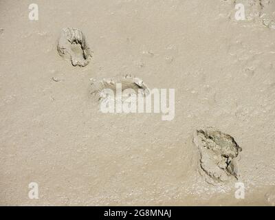 Beware of quicksand on some beaches - these deep footprints show that you can easily sink in the waterlogged sand. Stock Photo