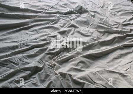 A Wrinkled Bed Sheet with Pet Hairs Stock Photo