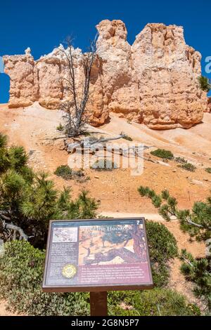 Bryce Canyon NP, UT, USA - May 25, 2020: Hike the Hoodoos Navajo Lopp Stock Photo