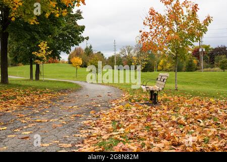 Autumn in the park. Fallen leaves from trees near bench and road in a local public park . Beautiful fall Stock Photo
