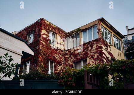 Architecture of the Tbilisi, Georgia. House braided with flowers Stock Photo