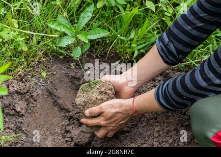Close-up of young man planting sprout in garden. Environment and ecology concept Stock Photo