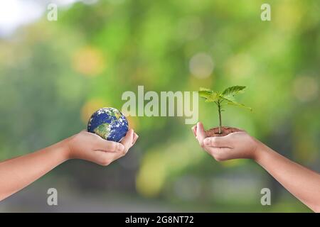 Hands holding earth globe and tree over green nature background. Saving world Ecology concept Stock Photo