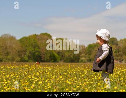 Small young girl standing in the middle of a buttercup meadow, she is wearing a white hat and is smiling. Stock Photo