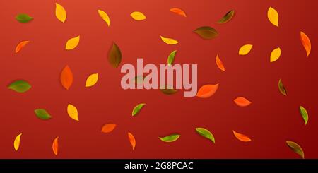 Falling autumn leaves. Red, yellow, green, brown neat leaves flying. Falling rain colorful foliage on interesting red background. Captivating back to Stock Vector
