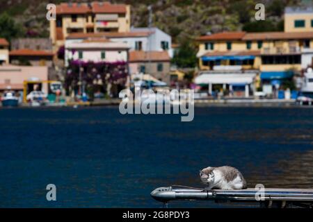 Capraia island, Tuscany, Italy, Europe Stock Photo