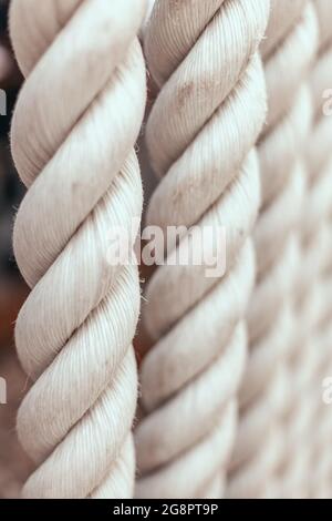 Strong white ropes weigh upright Stock Photo