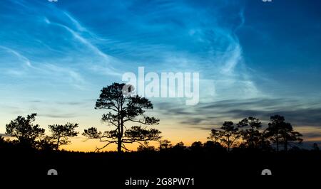 Noctilucent clouds, known also as night shining clouds seen in the summer at Kakerdaja bog in Estonia, Europe Stock Photo