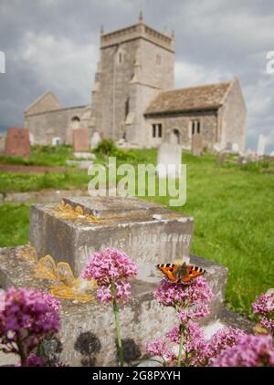 Small Tortoiseshell feeding on Red Valerian in the churchyard of the disused Old Church of St Nicholas at Uphill near Weston super Mare Somerset UK Stock Photo