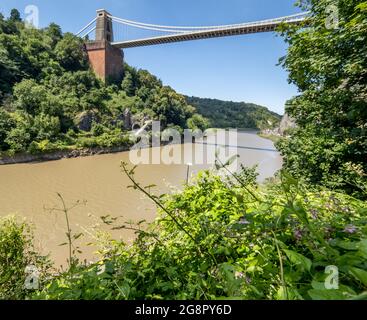 Clifton Suspension bridge and the River Avon from the Zig Zag path - Bristol UK Stock Photo
