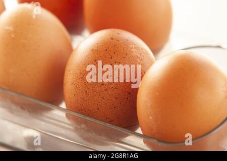 Closeup of small brown eggs in a clear plastic egg holder Stock Photo
