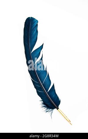 Blue Feather Quill Pen