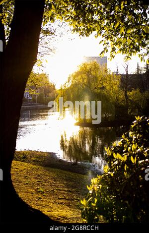 The beautiful Schwanenspiegel Pond of Dusseldorf in the sunset with a little island Stock Photo