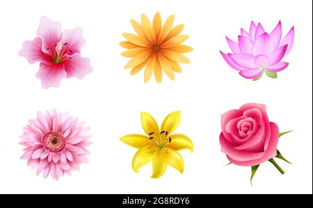 Colorful Realistic Flower Set for Celebration Decoration Stock Vector
