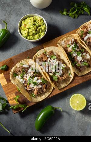 Homemade Pork Carnitas Tacos with Cilantro and Onion Stock Photo