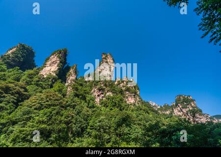 The Gathering of Heavenly Soldiers scenic rock formations, Avatar mountains nature park, Zhangjiajie, Hunan Province, China Stock Photo